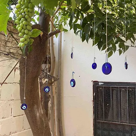 Asmali Bahce Muestakil Ev